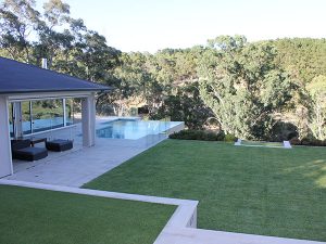 modern pool and landscape